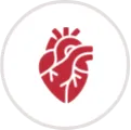 Heart Packages