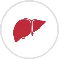 Liver Packages
