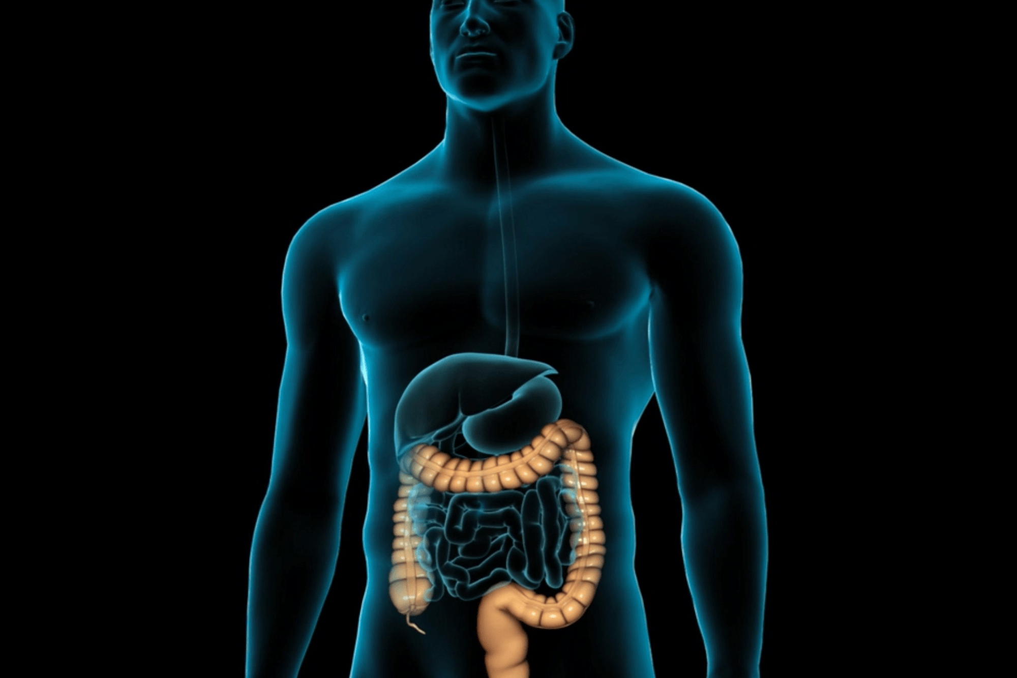 Understanding gastrointestinal endoscopy