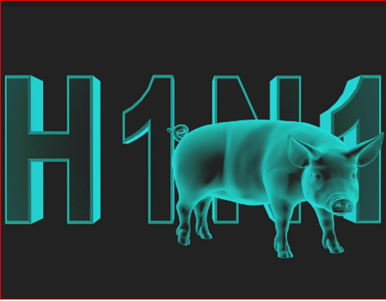 swine flu