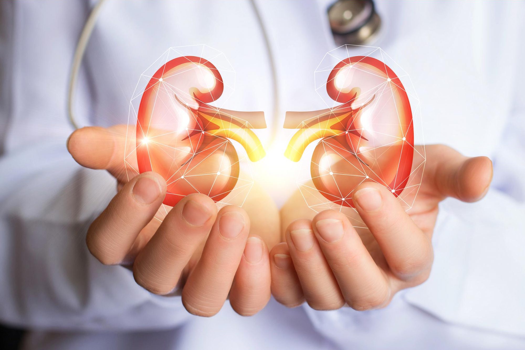 How to keep your kidneys healthy