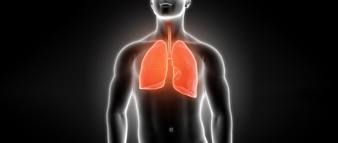 types-of-lung-cancer.jpg