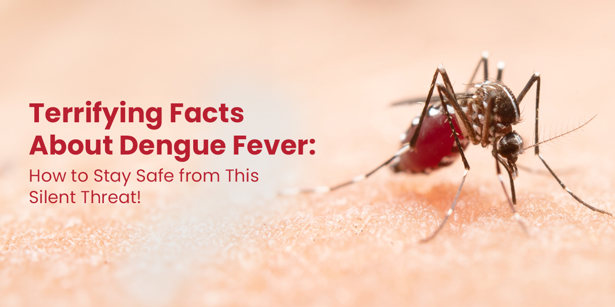 Dengue-Fever.jpg