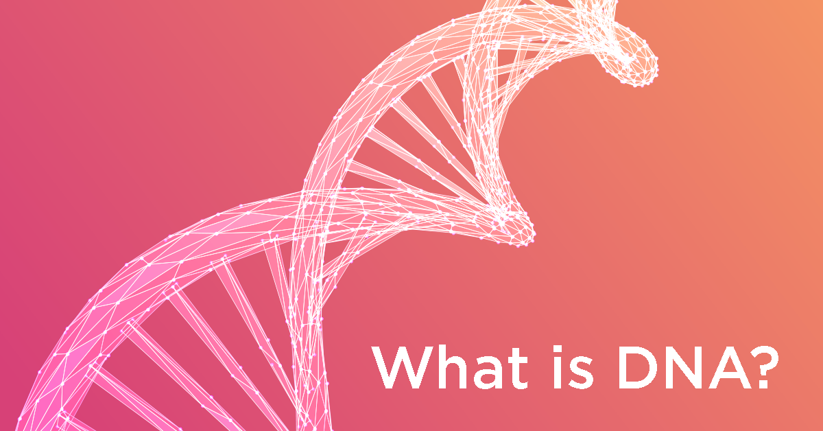What is DNA? - Blog - Regency Healthcare Ltd