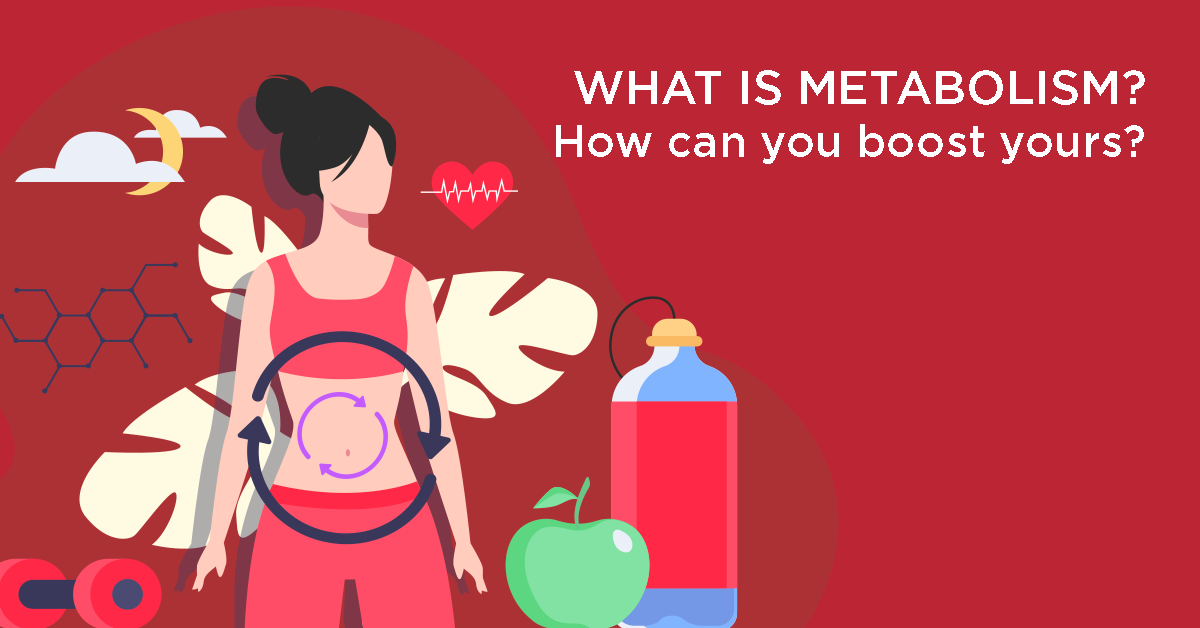 What is Metabolism? - Blog - Regency Healthcare Ltd